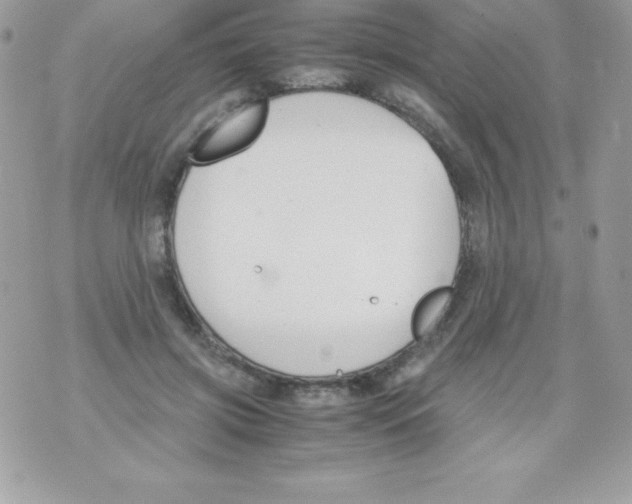 X0000070830549200607142343