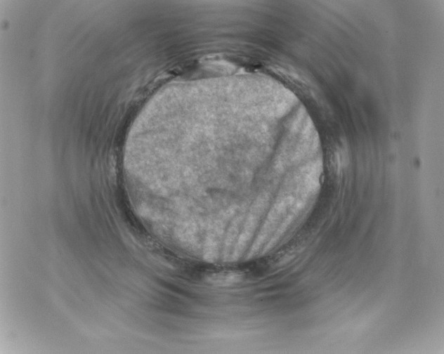 X0000070830551200607142343