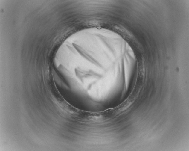 X0000070830552200607142343