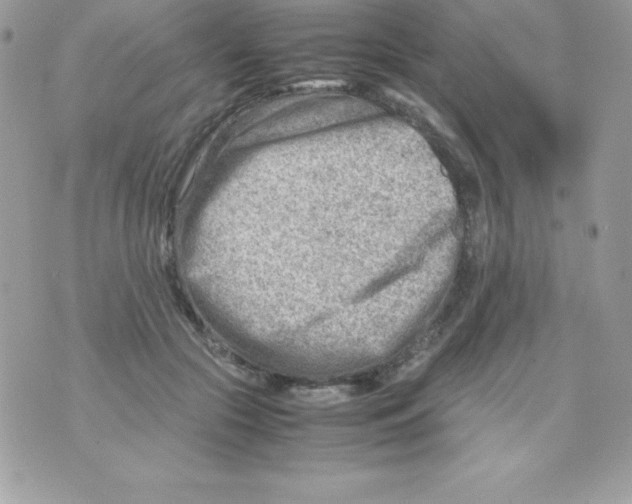 X0000070830553200607142343