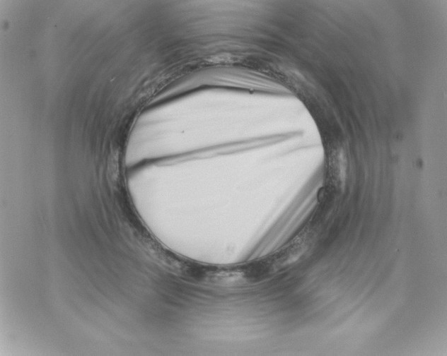 X0000070830554200607142343