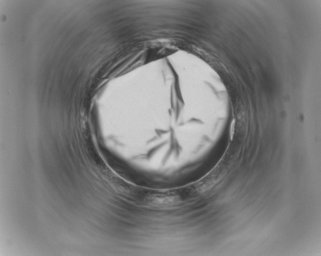 X0000070830555200607142343