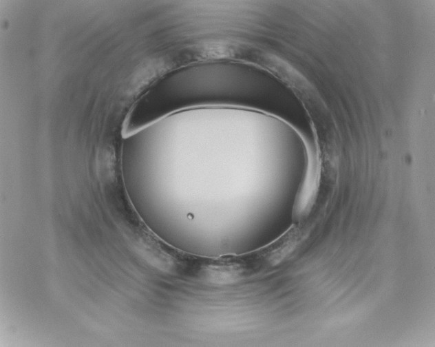 X0000070830556200607142343