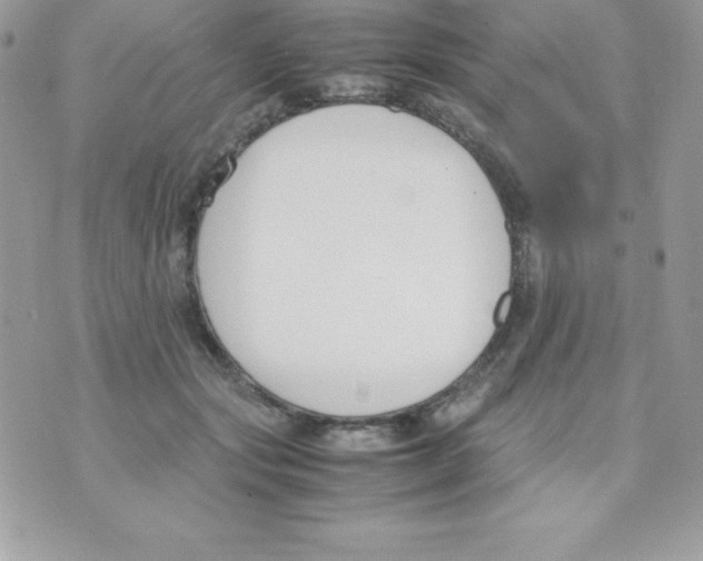 X0000070830557200607142343