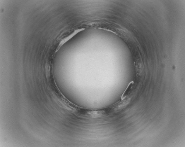 X0000070830558200607142343