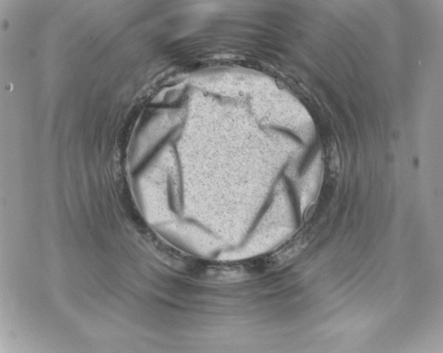 X0000070830559200607142343