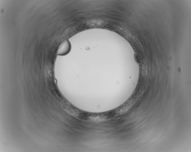 X0000070830561200607142344