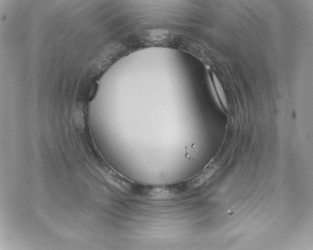 X0000070830562200607142344