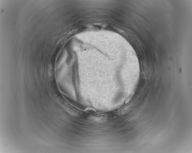 X0000070830563200607142344