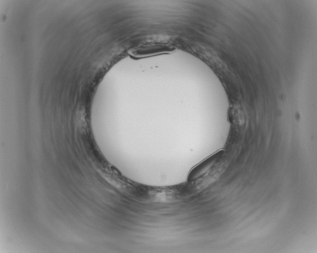 X0000070830564200607142344