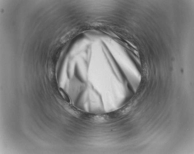 X0000070830566200607142344