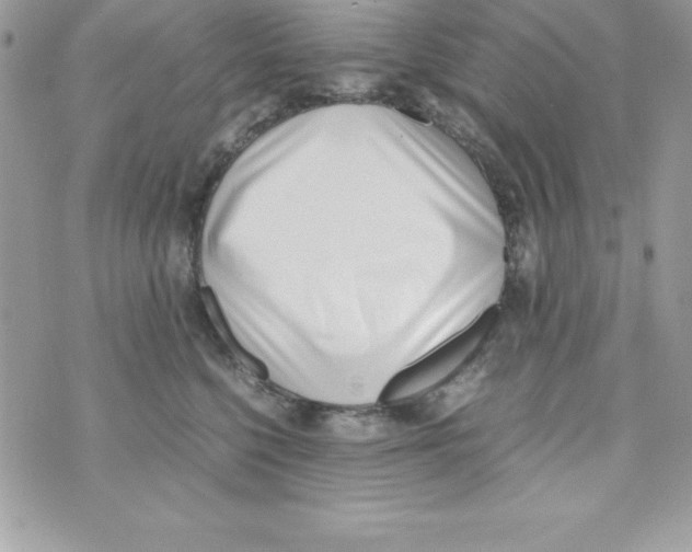 X0000070830568200607142344