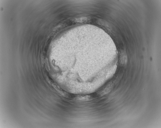 X0000070830569200607142344