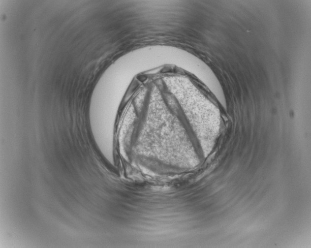 X0000070830570200607142344