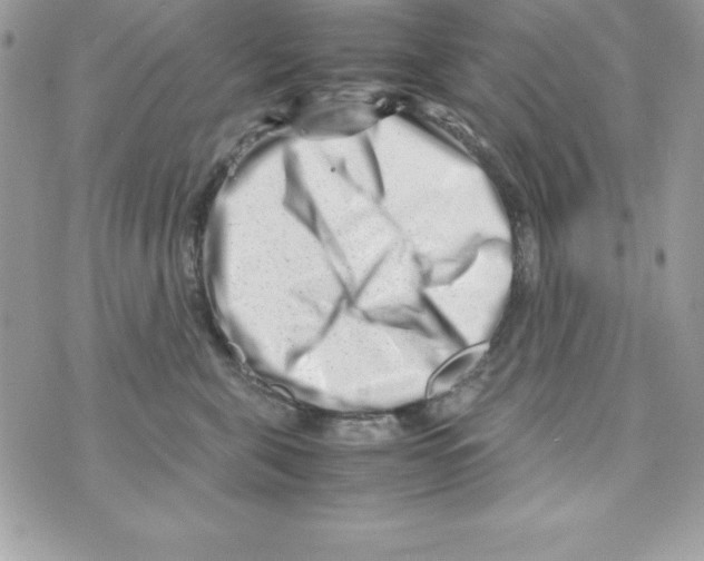 X0000070830571200607142344