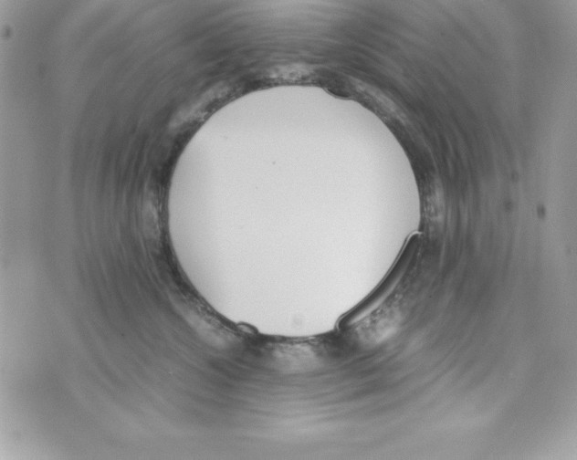 X0000070830572200607142344