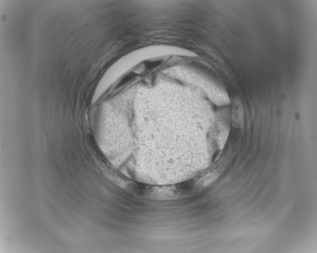 X0000070830573200607142344