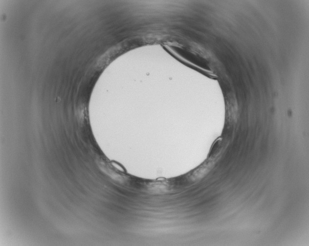 X0000070830574200607142344