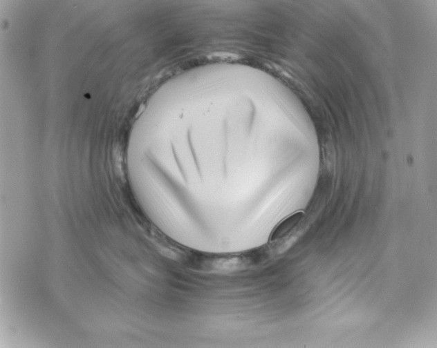 X0000070830575200607142344