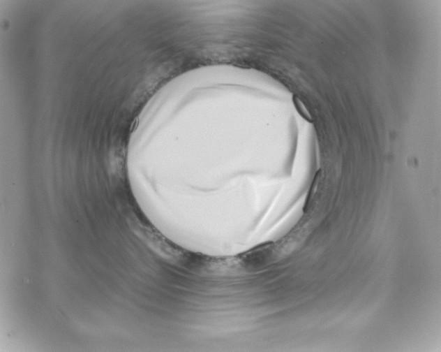 X0000070830576200607142344