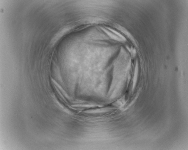 X0000070830577200607142343