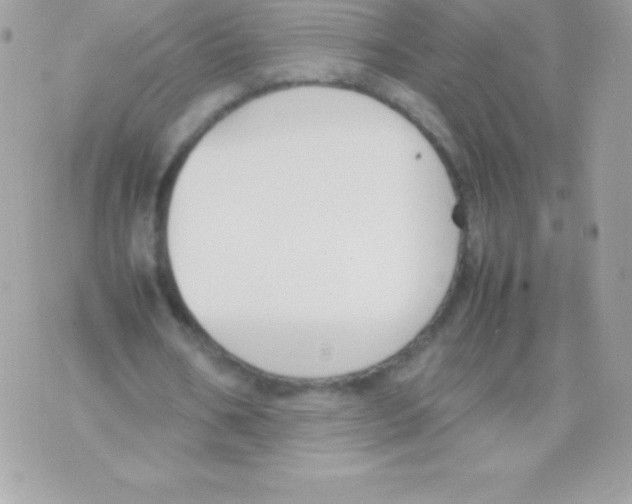 X0000070830578200607142343