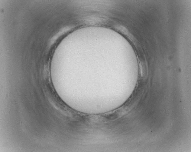 X0000070830579200607142343