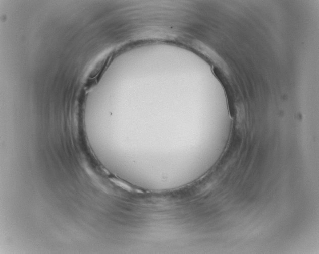 X0000070830580200607142343