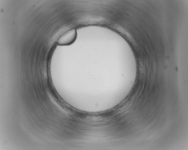 X0000070830582200607142343