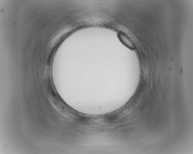 X0000070830583200607142343