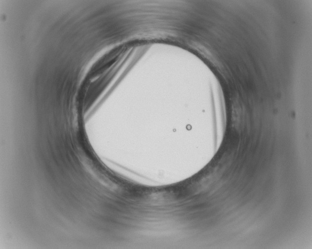 X0000070830584200607142343