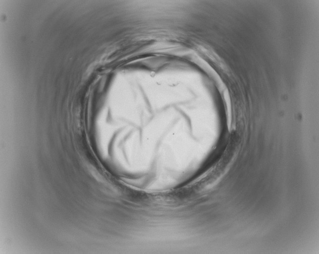 X0000070830585200607142343