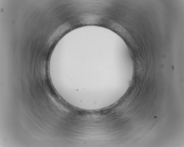 X0000070830586200607142343