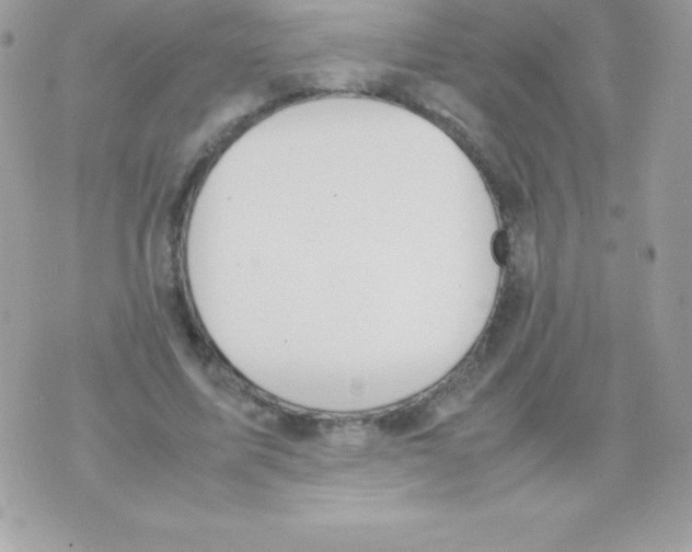 X0000070830587200607142343