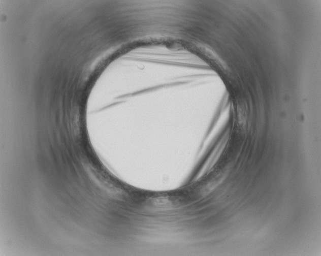 X0000070830588200607142343