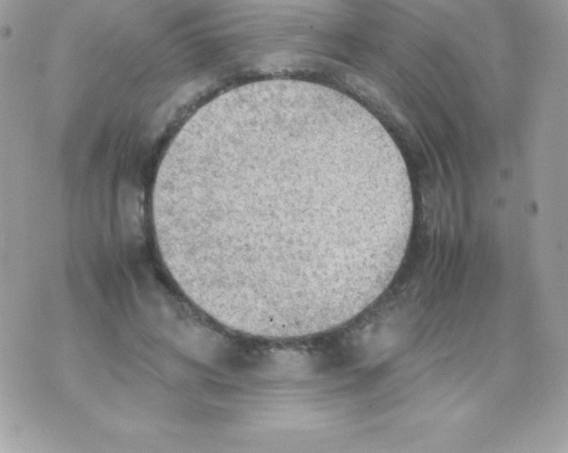 X0000070830592200607142343