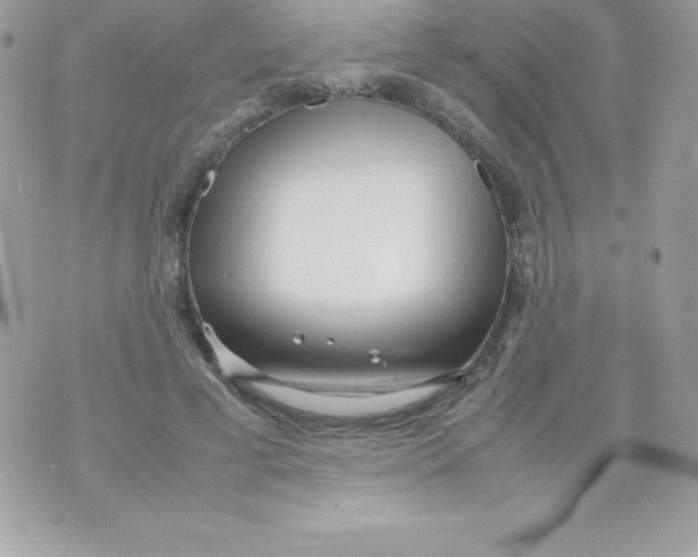 X0000070830593200607142343