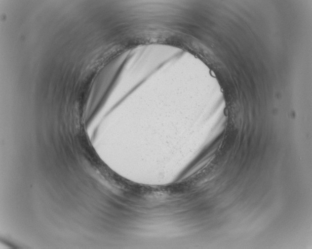 X0000070830594200607142343