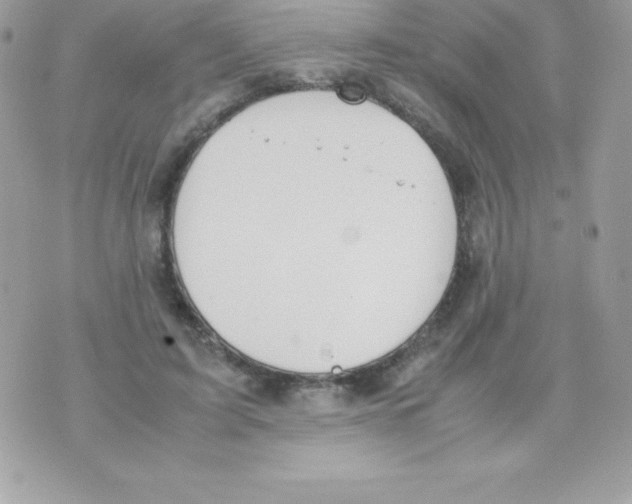 X0000070830595200607142343