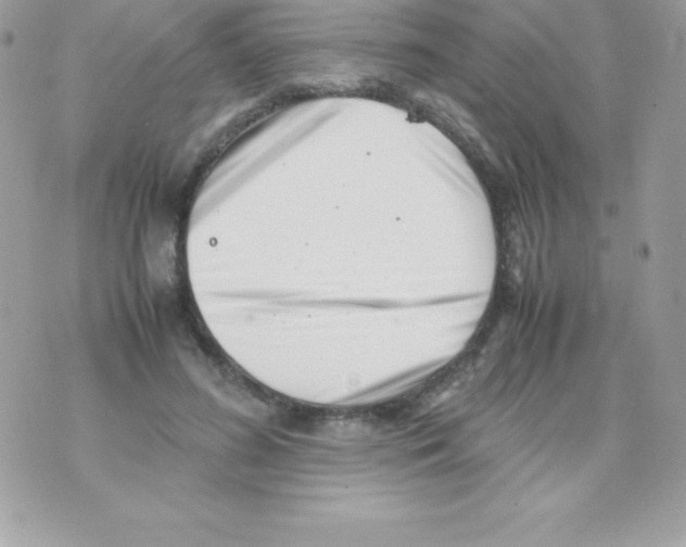 X0000070830596200607142343