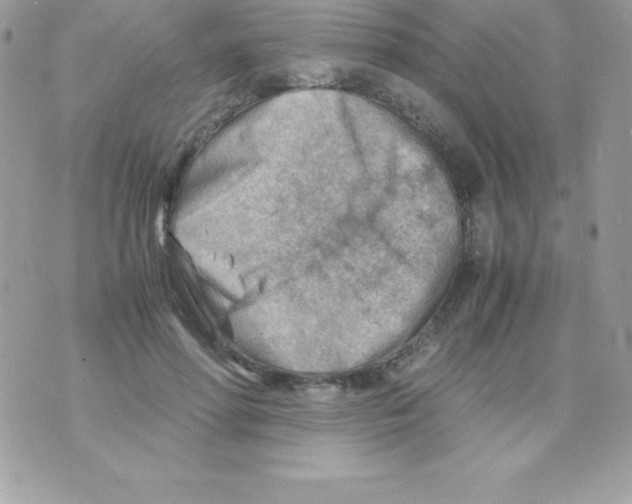 X0000070830598200607142343