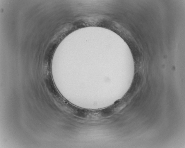 X0000070830599200607142343