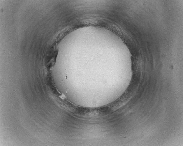 X0000070830600200607142343