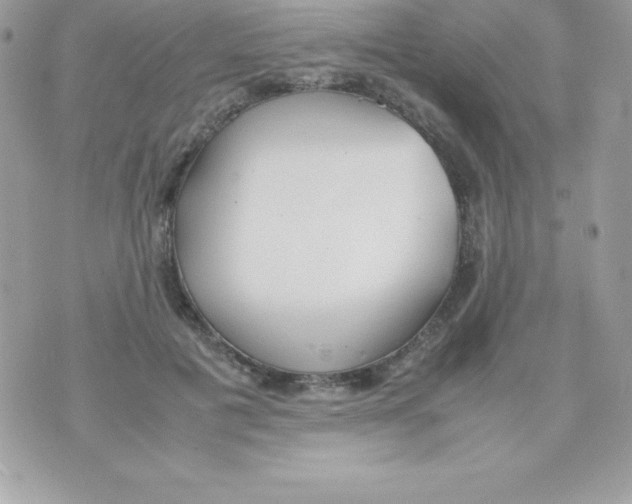 X0000070830601200607142343