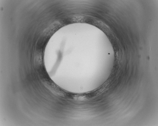 X0000070830602200607142343