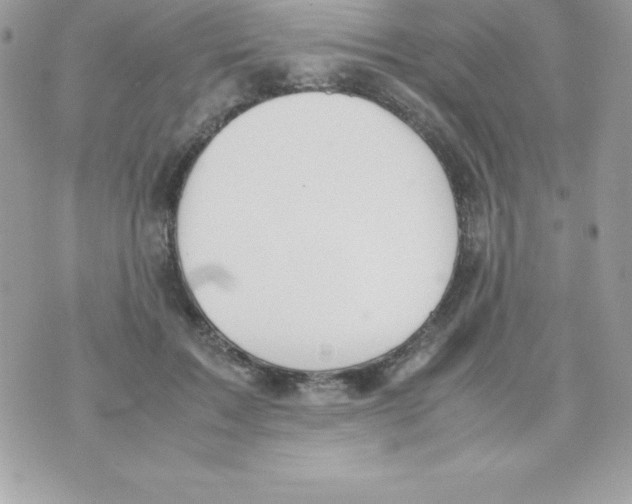 X0000070830603200607142343