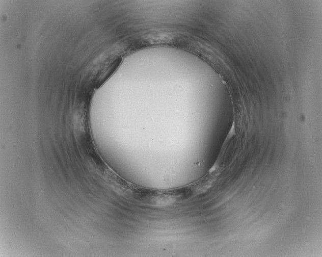 X0000070830604200607142343