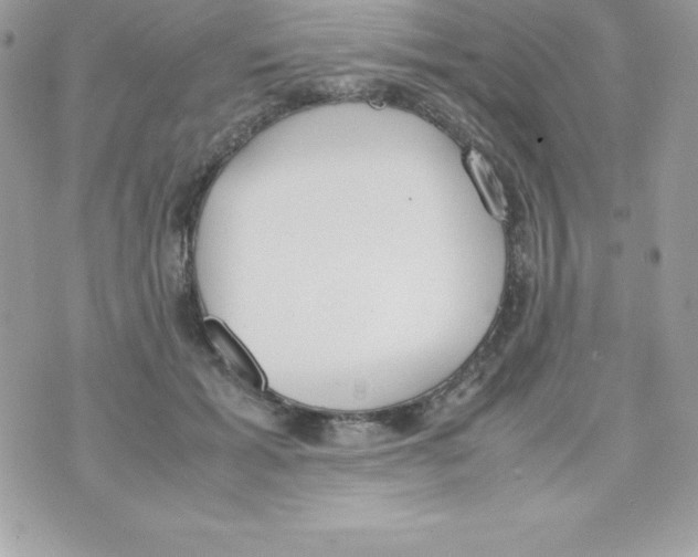 X0000070830605200607142343