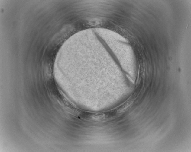 X0000070830606200607142343