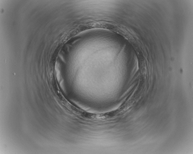 X0000070830607200607142343